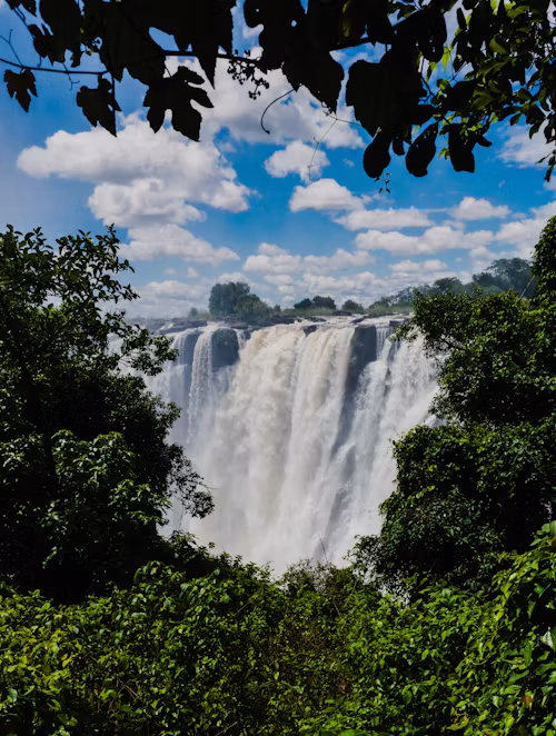 Zambia
